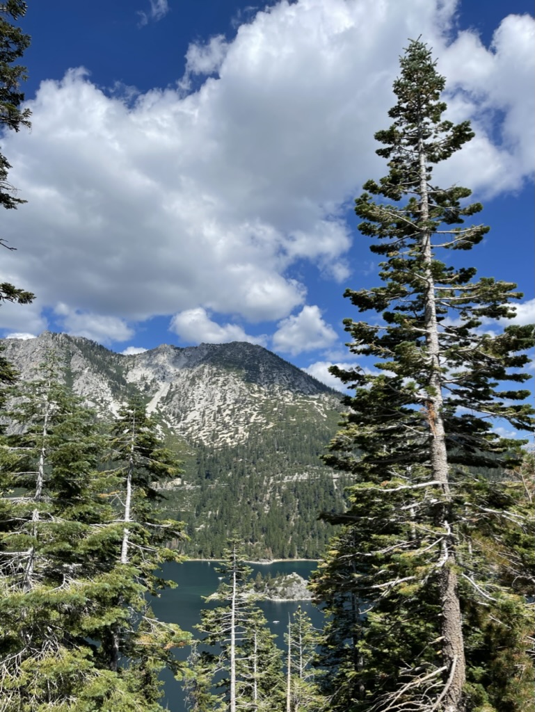 Mountain lake framed by evergreen trees