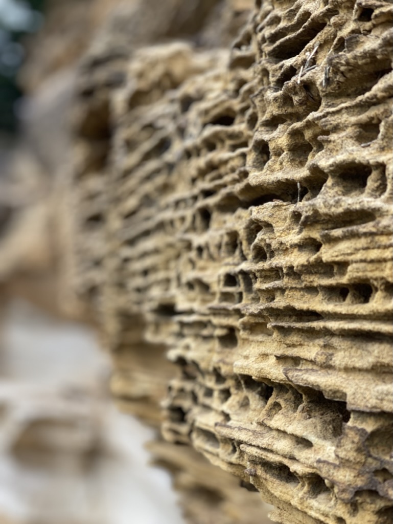 Weathered rock with honeycomb-like patterns